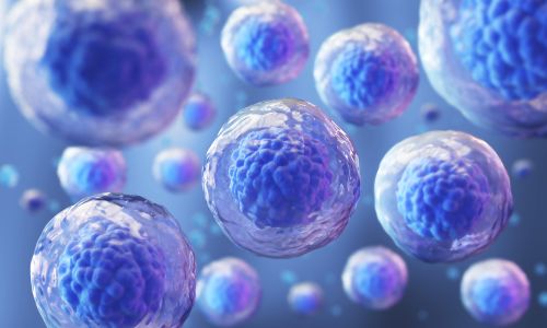 Information on investigational regenerative therapies